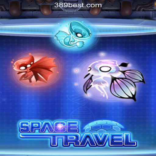 Exploring the Universe with SpaceTravel: A Stellar Gaming Experience